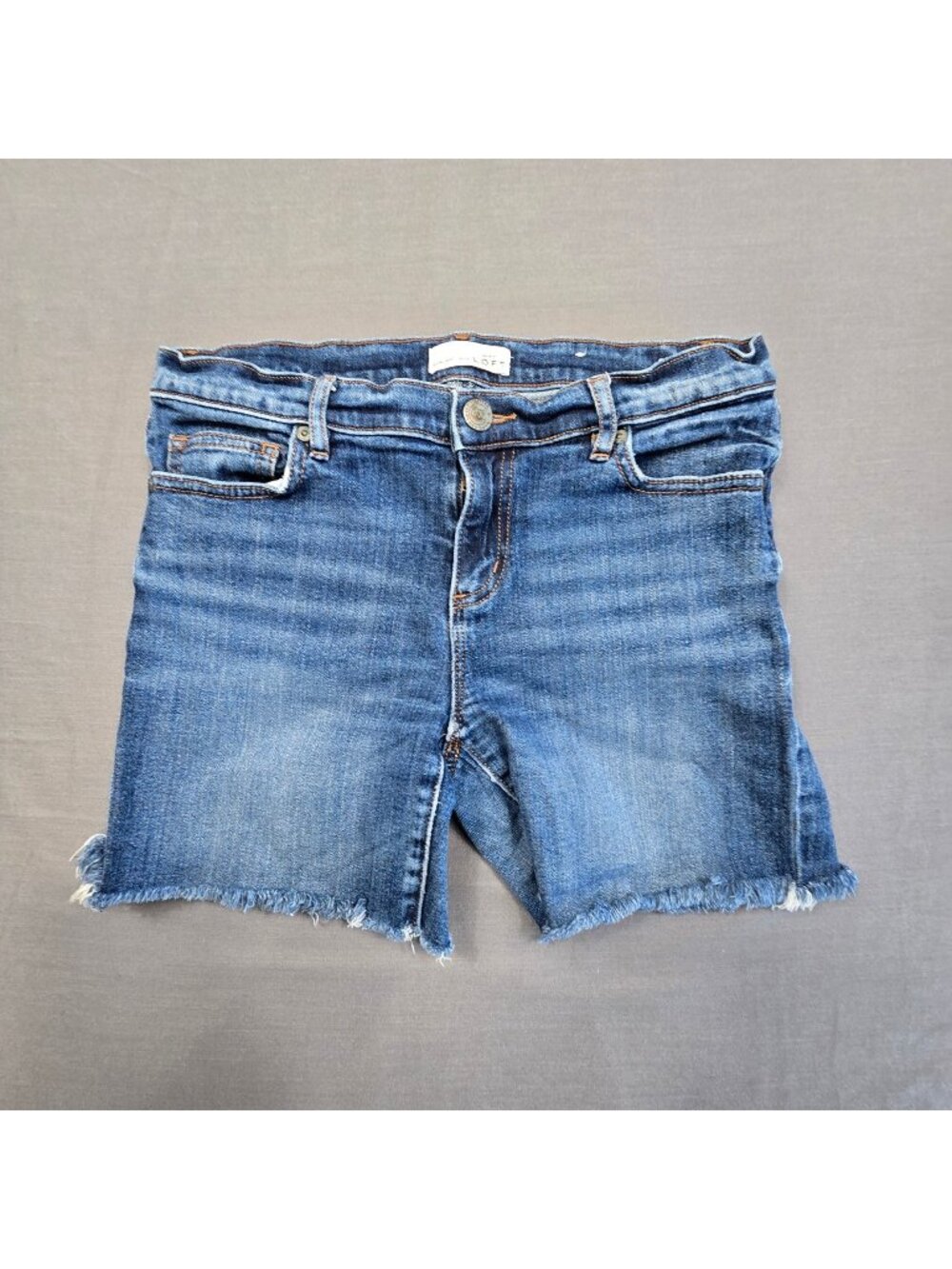 Ann Taylor Loft Womens Size 27 Denim Cutoff Distressed Blue Jean Shorts